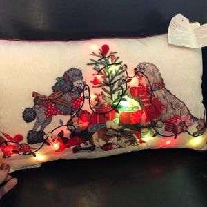 Pier 1 Light Up Throw Pillow